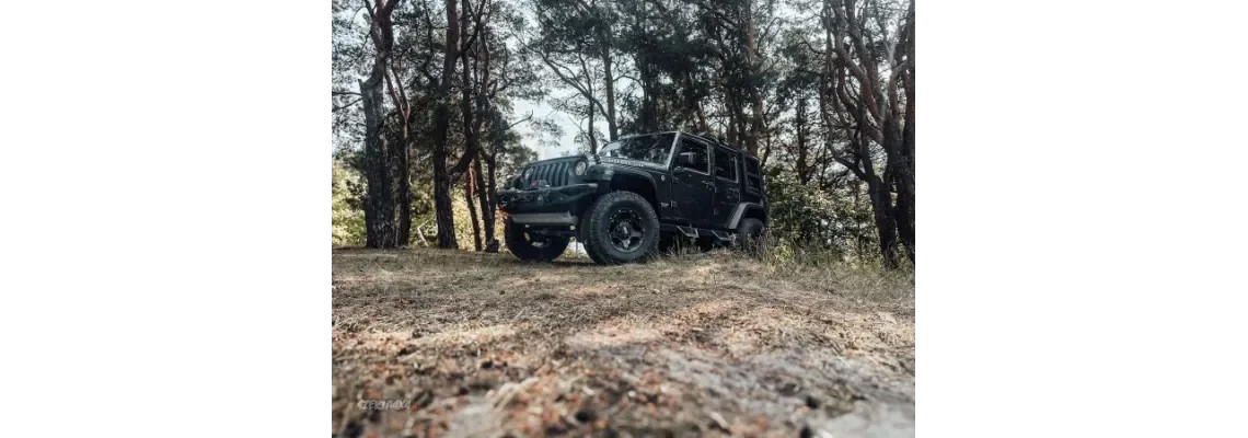 Wrangler JK bagażnik oświetlenie prostowanie mostu i blacharka, Warn, Rival